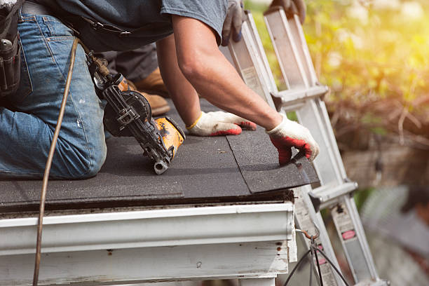 Best Roof Gutter Cleaning  in Frontenac, MO